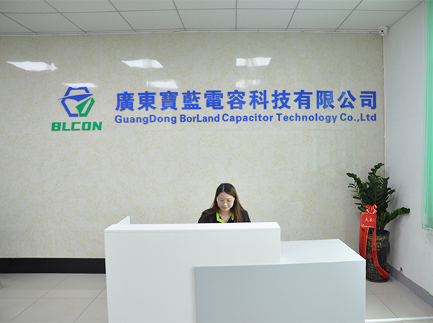 GuangDong BorLand Capacitor Technology Co.,Ltd.